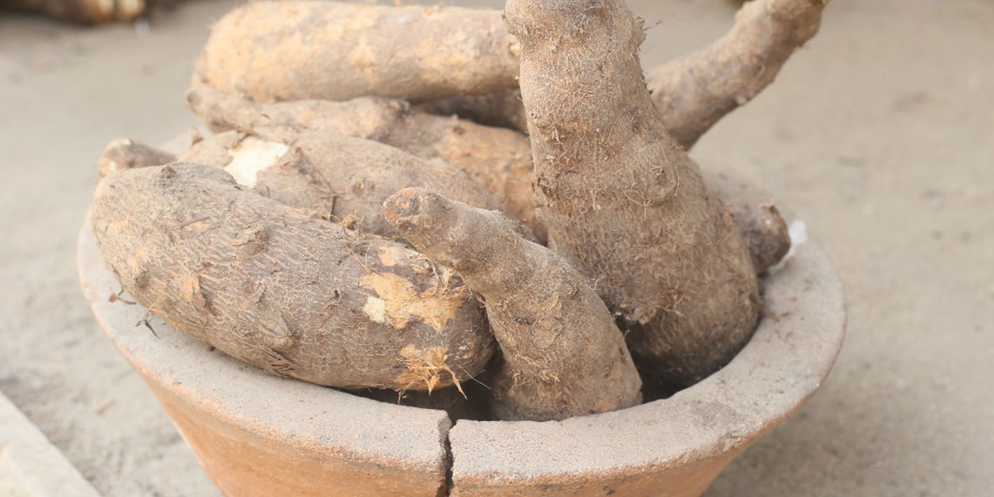 read our tips and recipes on making the best ekwang dishes